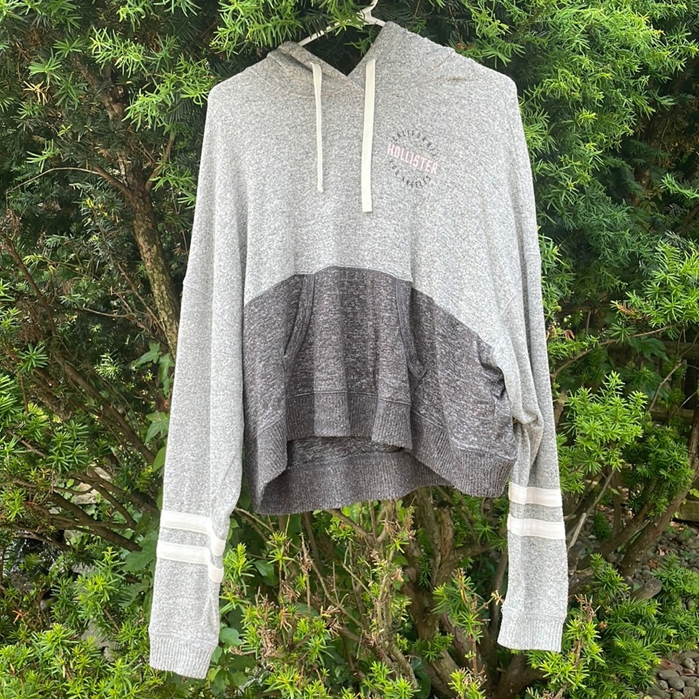 Hollister Hoodie Sweater